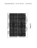 HIGH THROUGHPUT ASSAYS FOR DETERMINING CONTRACTILE FUNCTION AND DEVICES     FOR USE THEREIN diagram and image