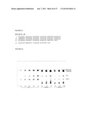 METHOD FOR PRODUCING PHYTOSTEROL/PHYTOSTANOL PHOSPHOLIPID ESTERS diagram and image