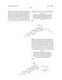 C-28 AMIDES OF MODIFIED C-3 BETULINIC ACID DERIVATIVES AS HIV MATURATION     INHIBITORS diagram and image