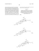 C-28 AMIDES OF MODIFIED C-3 BETULINIC ACID DERIVATIVES AS HIV MATURATION     INHIBITORS diagram and image