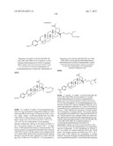 C-28 AMIDES OF MODIFIED C-3 BETULINIC ACID DERIVATIVES AS HIV MATURATION     INHIBITORS diagram and image