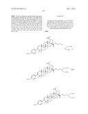 C-28 AMIDES OF MODIFIED C-3 BETULINIC ACID DERIVATIVES AS HIV MATURATION     INHIBITORS diagram and image