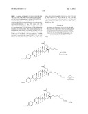 C-28 AMIDES OF MODIFIED C-3 BETULINIC ACID DERIVATIVES AS HIV MATURATION     INHIBITORS diagram and image