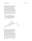 C-28 AMIDES OF MODIFIED C-3 BETULINIC ACID DERIVATIVES AS HIV MATURATION     INHIBITORS diagram and image