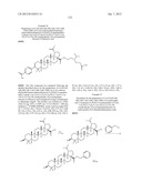 C-28 AMIDES OF MODIFIED C-3 BETULINIC ACID DERIVATIVES AS HIV MATURATION     INHIBITORS diagram and image