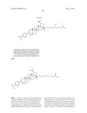 C-28 AMIDES OF MODIFIED C-3 BETULINIC ACID DERIVATIVES AS HIV MATURATION     INHIBITORS diagram and image