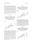 C-28 AMIDES OF MODIFIED C-3 BETULINIC ACID DERIVATIVES AS HIV MATURATION     INHIBITORS diagram and image