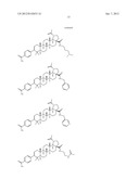 C-28 AMIDES OF MODIFIED C-3 BETULINIC ACID DERIVATIVES AS HIV MATURATION     INHIBITORS diagram and image