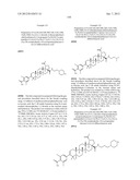 C-28 AMIDES OF MODIFIED C-3 BETULINIC ACID DERIVATIVES AS HIV MATURATION     INHIBITORS diagram and image