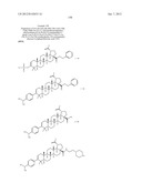 C-28 AMIDES OF MODIFIED C-3 BETULINIC ACID DERIVATIVES AS HIV MATURATION     INHIBITORS diagram and image