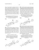 C-28 AMIDES OF MODIFIED C-3 BETULINIC ACID DERIVATIVES AS HIV MATURATION     INHIBITORS diagram and image