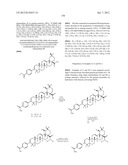 C-28 AMIDES OF MODIFIED C-3 BETULINIC ACID DERIVATIVES AS HIV MATURATION     INHIBITORS diagram and image