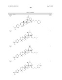 C-28 AMIDES OF MODIFIED C-3 BETULINIC ACID DERIVATIVES AS HIV MATURATION     INHIBITORS diagram and image