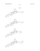 C-28 AMIDES OF MODIFIED C-3 BETULINIC ACID DERIVATIVES AS HIV MATURATION     INHIBITORS diagram and image