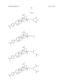 C-28 AMIDES OF MODIFIED C-3 BETULINIC ACID DERIVATIVES AS HIV MATURATION     INHIBITORS diagram and image