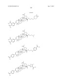 C-28 AMIDES OF MODIFIED C-3 BETULINIC ACID DERIVATIVES AS HIV MATURATION     INHIBITORS diagram and image