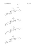 C-28 AMIDES OF MODIFIED C-3 BETULINIC ACID DERIVATIVES AS HIV MATURATION     INHIBITORS diagram and image