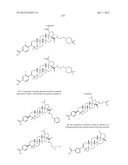 C-28 AMIDES OF MODIFIED C-3 BETULINIC ACID DERIVATIVES AS HIV MATURATION     INHIBITORS diagram and image