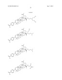 C-28 AMIDES OF MODIFIED C-3 BETULINIC ACID DERIVATIVES AS HIV MATURATION     INHIBITORS diagram and image