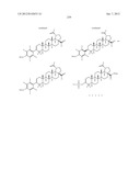 C-28 AMIDES OF MODIFIED C-3 BETULINIC ACID DERIVATIVES AS HIV MATURATION     INHIBITORS diagram and image