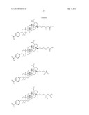 C-28 AMIDES OF MODIFIED C-3 BETULINIC ACID DERIVATIVES AS HIV MATURATION     INHIBITORS diagram and image