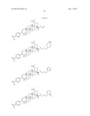 C-28 AMIDES OF MODIFIED C-3 BETULINIC ACID DERIVATIVES AS HIV MATURATION     INHIBITORS diagram and image