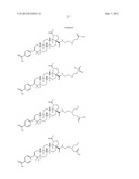 C-28 AMIDES OF MODIFIED C-3 BETULINIC ACID DERIVATIVES AS HIV MATURATION     INHIBITORS diagram and image