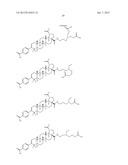 C-28 AMIDES OF MODIFIED C-3 BETULINIC ACID DERIVATIVES AS HIV MATURATION     INHIBITORS diagram and image