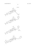 C-28 AMIDES OF MODIFIED C-3 BETULINIC ACID DERIVATIVES AS HIV MATURATION     INHIBITORS diagram and image