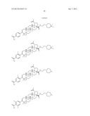 C-28 AMIDES OF MODIFIED C-3 BETULINIC ACID DERIVATIVES AS HIV MATURATION     INHIBITORS diagram and image