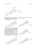 C-28 AMIDES OF MODIFIED C-3 BETULINIC ACID DERIVATIVES AS HIV MATURATION     INHIBITORS diagram and image