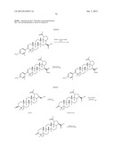 C-28 AMIDES OF MODIFIED C-3 BETULINIC ACID DERIVATIVES AS HIV MATURATION     INHIBITORS diagram and image