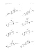 C-28 AMIDES OF MODIFIED C-3 BETULINIC ACID DERIVATIVES AS HIV MATURATION     INHIBITORS diagram and image