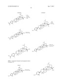 C-28 AMIDES OF MODIFIED C-3 BETULINIC ACID DERIVATIVES AS HIV MATURATION     INHIBITORS diagram and image