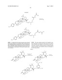 C-28 AMIDES OF MODIFIED C-3 BETULINIC ACID DERIVATIVES AS HIV MATURATION     INHIBITORS diagram and image