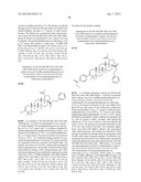 C-28 AMIDES OF MODIFIED C-3 BETULINIC ACID DERIVATIVES AS HIV MATURATION     INHIBITORS diagram and image