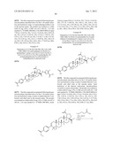 C-28 AMIDES OF MODIFIED C-3 BETULINIC ACID DERIVATIVES AS HIV MATURATION     INHIBITORS diagram and image