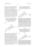 C-28 AMIDES OF MODIFIED C-3 BETULINIC ACID DERIVATIVES AS HIV MATURATION     INHIBITORS diagram and image