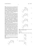 HETEROCYCLIC HYDRAZONE COMPOUNDS diagram and image