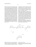 HETEROCYCLIC HYDRAZONE COMPOUNDS diagram and image