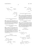 HETEROCYCLIC HYDRAZONE COMPOUNDS diagram and image