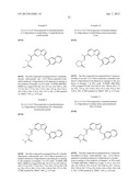 HETEROCYCLIC HYDRAZONE COMPOUNDS diagram and image