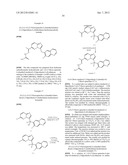 HETEROCYCLIC HYDRAZONE COMPOUNDS diagram and image