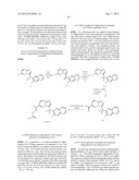 HETEROCYCLIC HYDRAZONE COMPOUNDS diagram and image