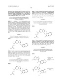 HETEROCYCLIC HYDRAZONE COMPOUNDS diagram and image