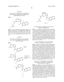 HETEROCYCLIC HYDRAZONE COMPOUNDS diagram and image