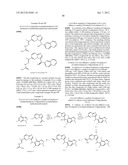 HETEROCYCLIC HYDRAZONE COMPOUNDS diagram and image