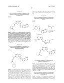 HETEROCYCLIC HYDRAZONE COMPOUNDS diagram and image