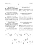 HETEROCYCLIC HYDRAZONE COMPOUNDS diagram and image