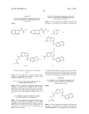 HETEROCYCLIC HYDRAZONE COMPOUNDS diagram and image